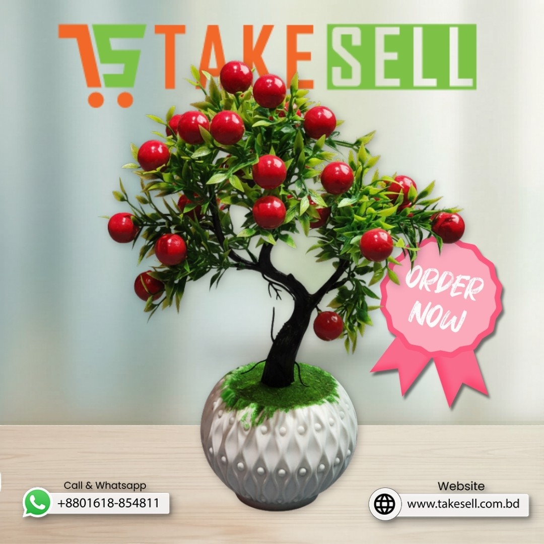 Cherry Bonsai