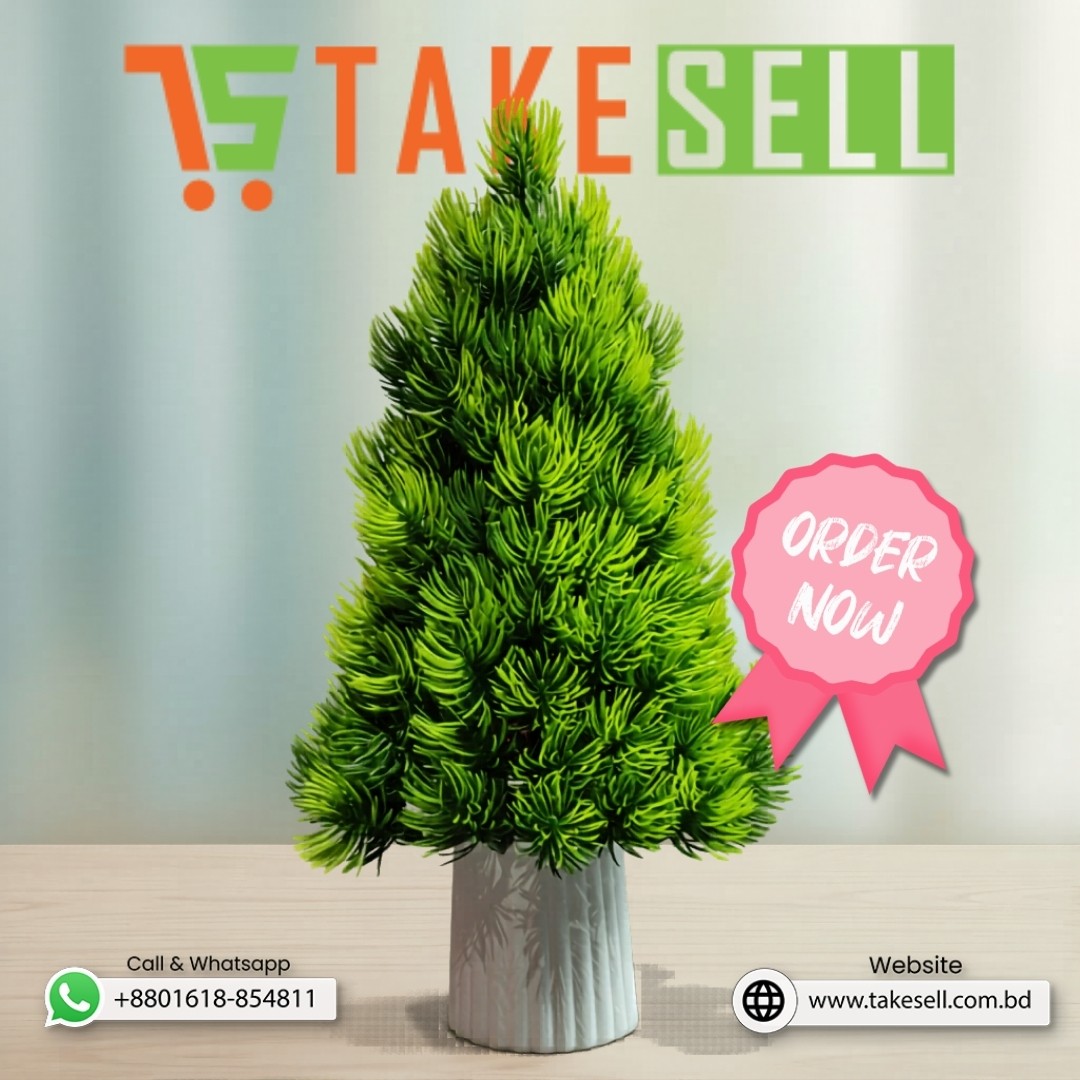 Bonsai tree